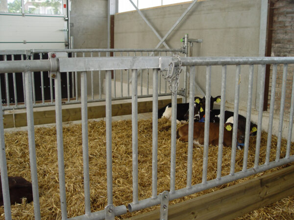 stable renovation of calf housing